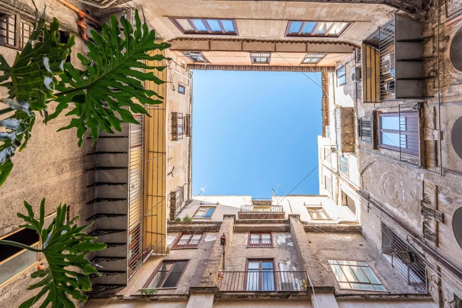 Le Radici Di Gallidoro Palermo